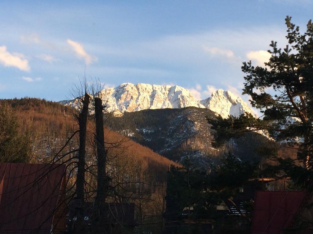 Dom Wypoczynkowy Jadzia Zakopane Exterior foto