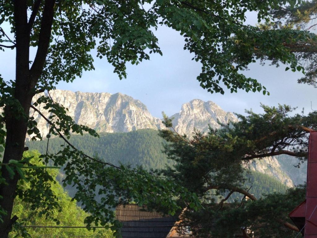 Dom Wypoczynkowy Jadzia Zakopane Exterior foto