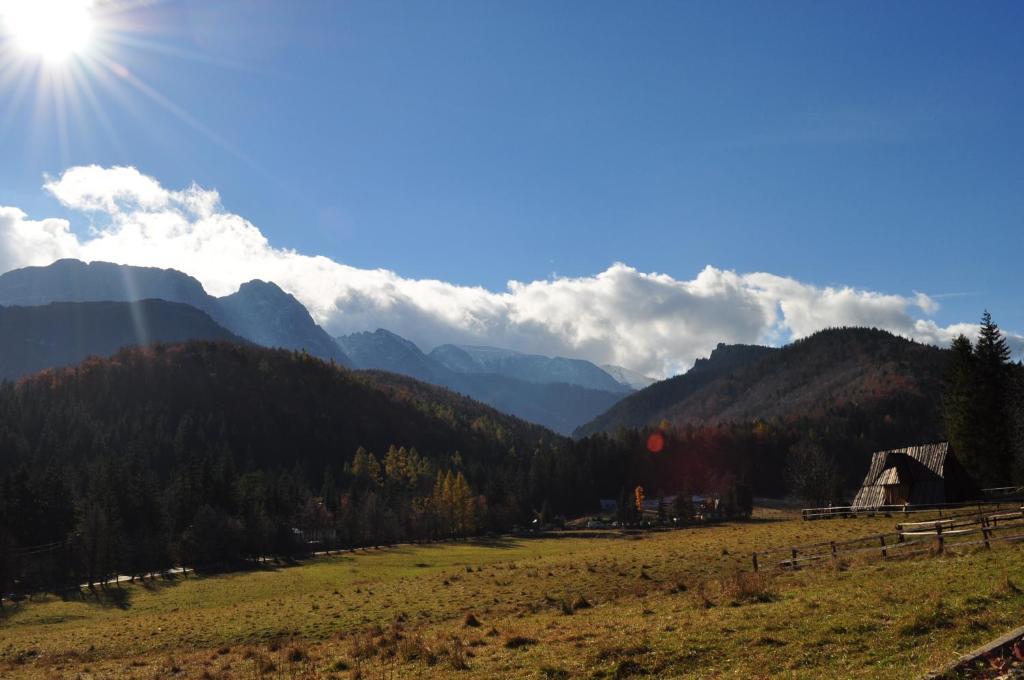Dom Wypoczynkowy Jadzia Zakopane Exterior foto